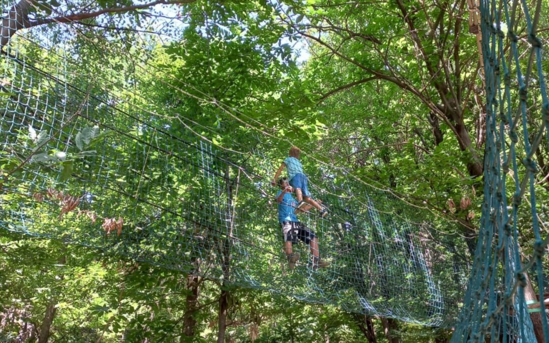 Cosa fare con i bambini vicino a Mondovì: idee nella natura