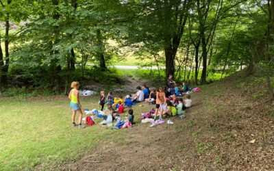 Centro estivo nel bosco a Vicoforte: boom di iscrizioni e posti limitati per luglio e agosto