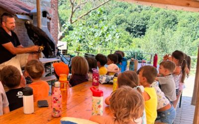 La settima settimana del Centro Estivo nel Bosco di Vicoforte è dedicata all’arte