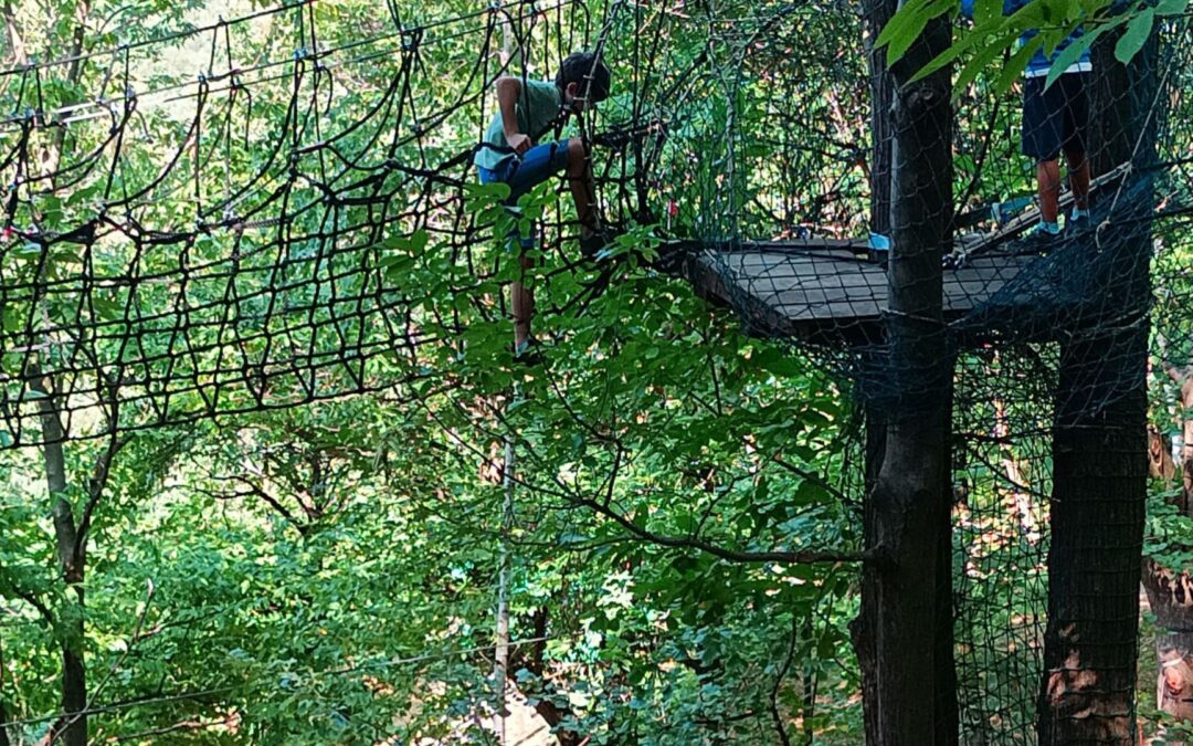 La nona settimana del Centro Estivo nel Bosco di Vicoforte è dedicata ai sogni